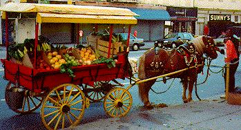 Arabber Cart In Baltimore