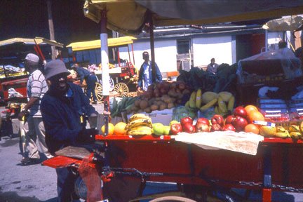 Arabber horse and wagon at Carlton Street Stable