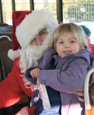 Santa-Tinsel Trolley