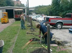 Fence Posts